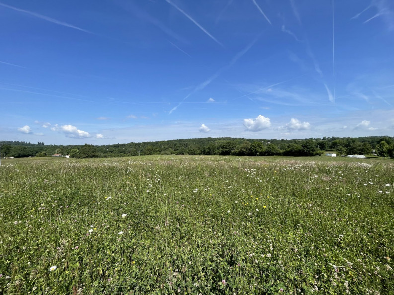 vente Terrain constructible Feytiat - Photo 2