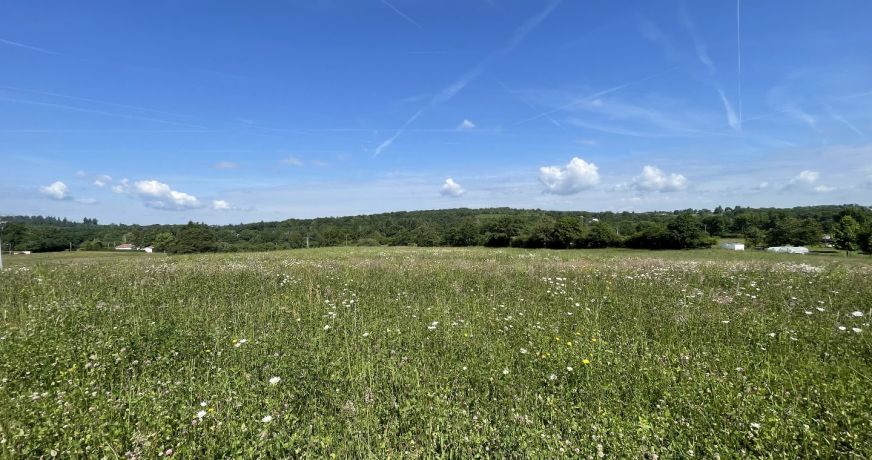 vente Terrain constructible Feytiat