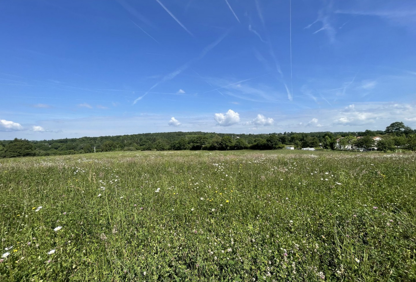 vente Terrain constructible Feytiat - Photo 3