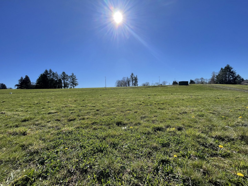 vente Terrain constructible Feytiat - Photo 1