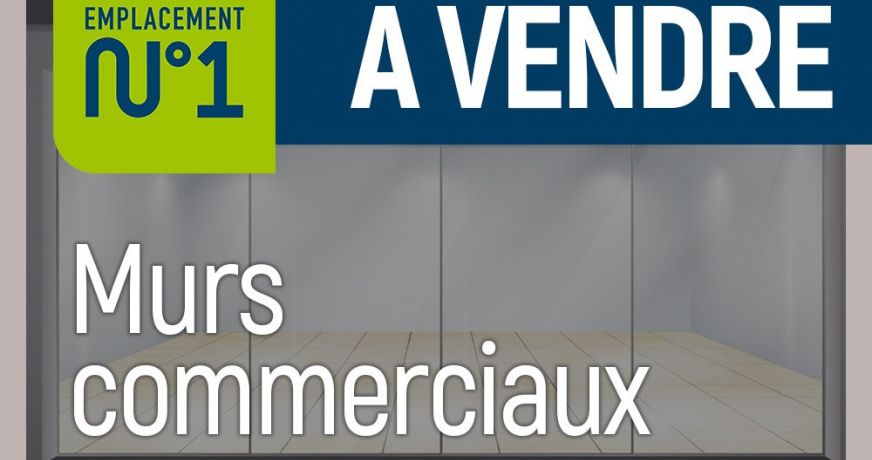 vente Lyon 7eme Arrondissement