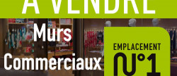 vente Lyon 3eme Arrondissement
