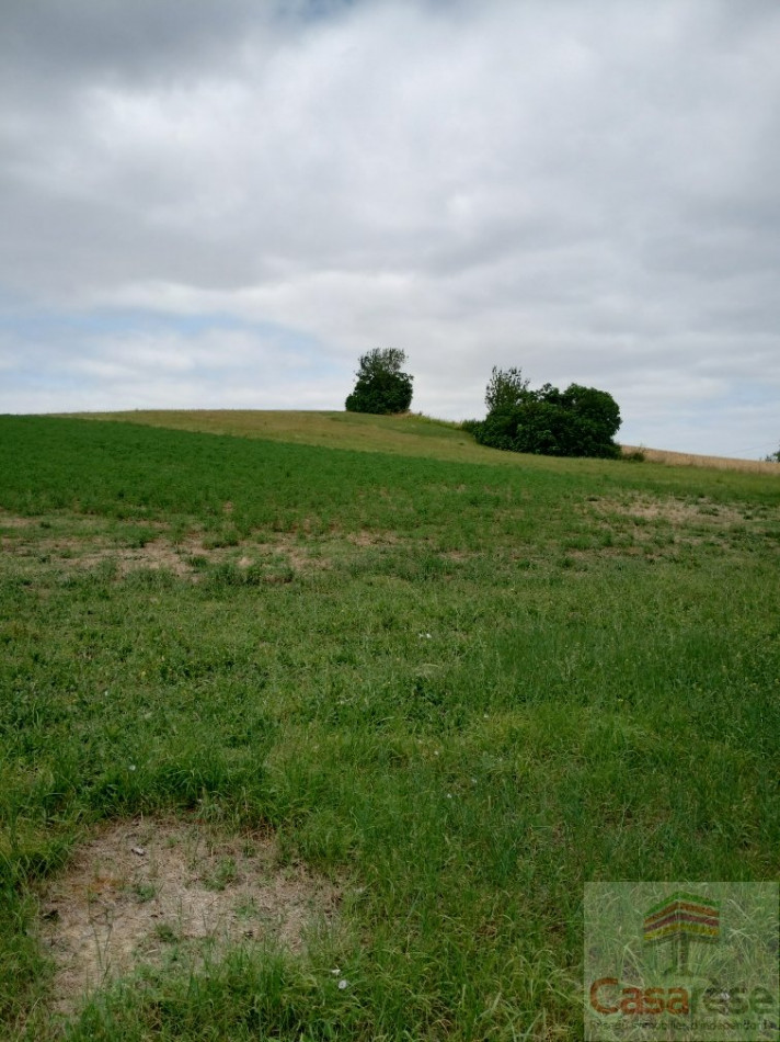 à vendre Terrain constructible Faudoas - Photo 1