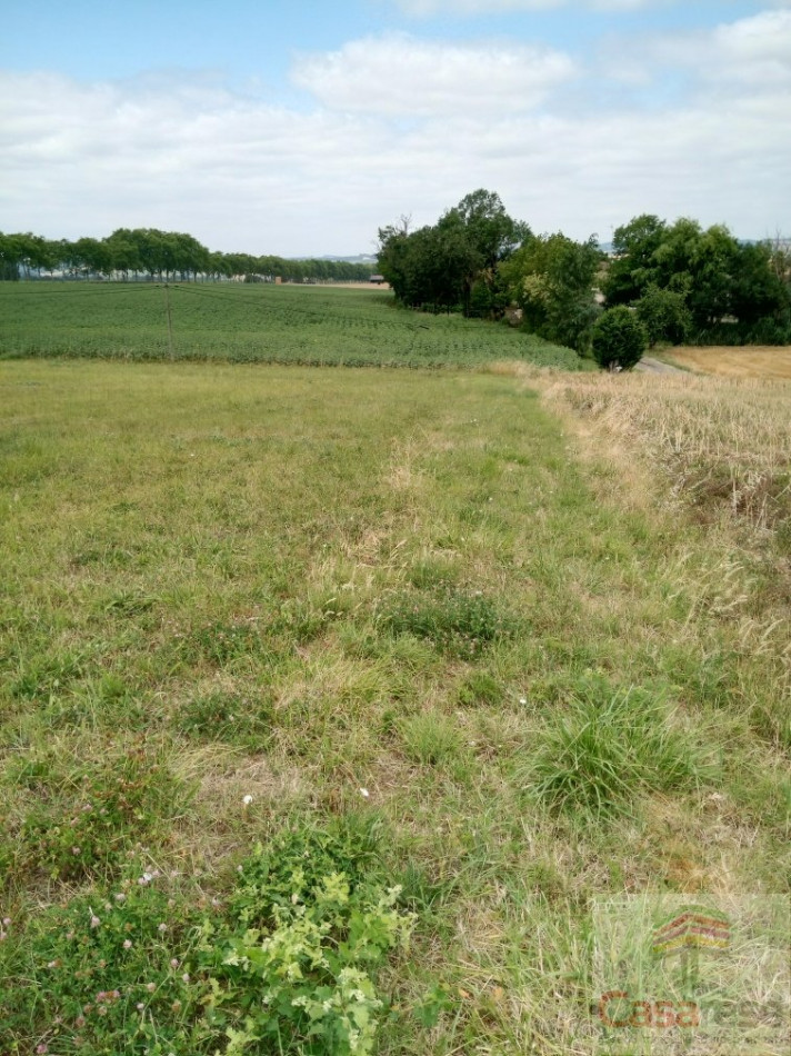 à vendre Terrain constructible Faudoas - Photo 2