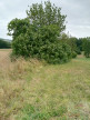à vendre Terrain constructible Faudoas
