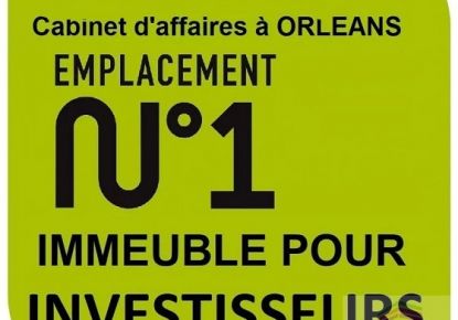 vente Immeuble La Chapelle Saint Mesmin