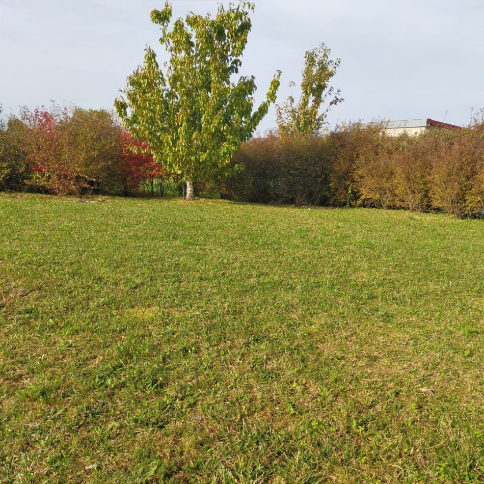 for sale Maison individuelle Champigny - Photo 5