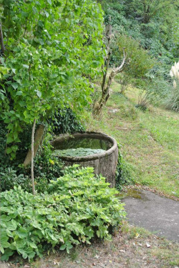 à vendre Maison Caluire Et Cuire