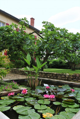 à vendre Demeure Chanas