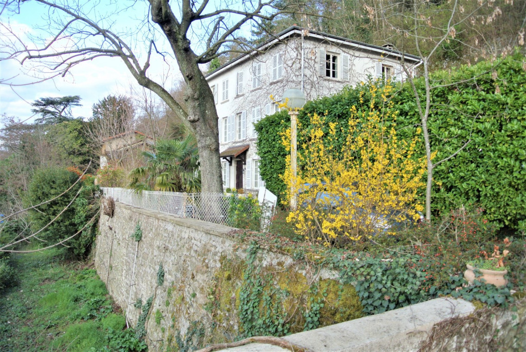 à vendre Maison de maître Vienne - Photo 1