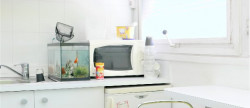 vente Appartement Villeurbanne