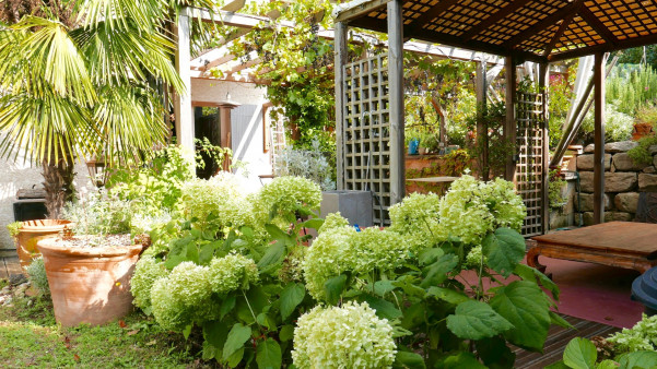 à vendre Maison Sainte Foy Les Lyon