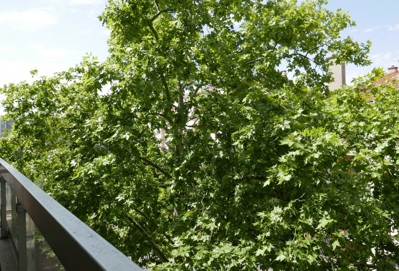 vente Appartement Lyon 3eme Arrondissement - Photo 3