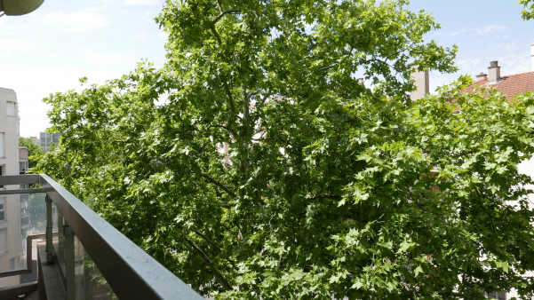 à vendre Appartement Lyon 3eme Arrondissement