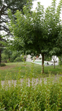 à vendre Maison Caluire Et Cuire