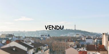 vente Lyon 6eme Arrondissement