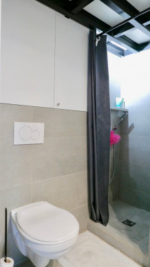 à vendre Duplex Lyon 2eme Arrondissement