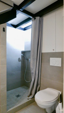 à vendre Duplex Lyon 2eme Arrondissement