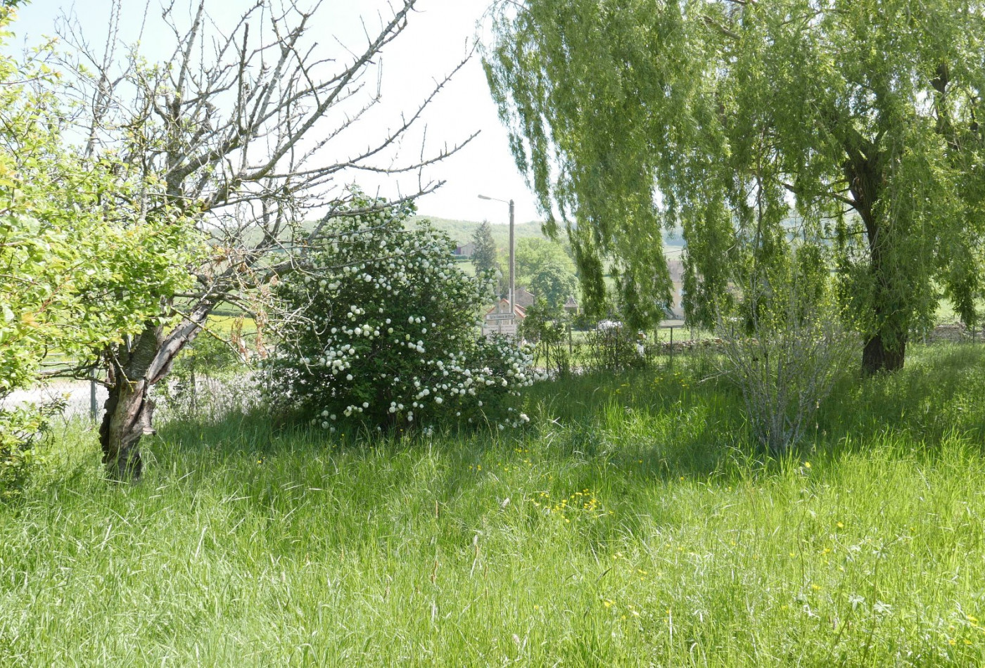 vente Maison Bray - Photo 2