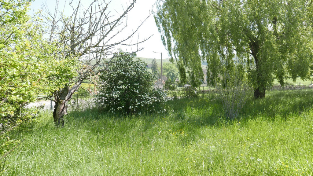 à vendre Maison Bray - Photo 2