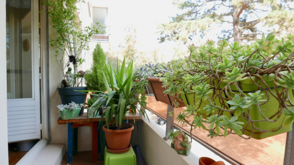 à vendre Appartement Caluire Et Cuire