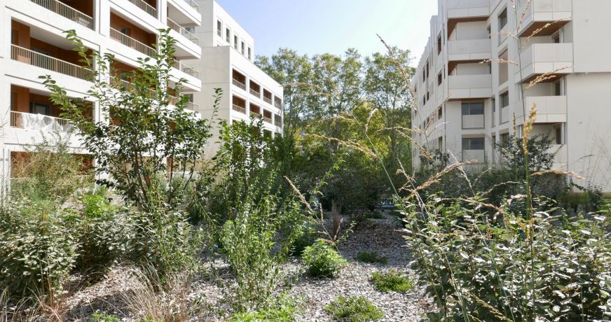 location Appartement Lyon 9eme Arrondissement