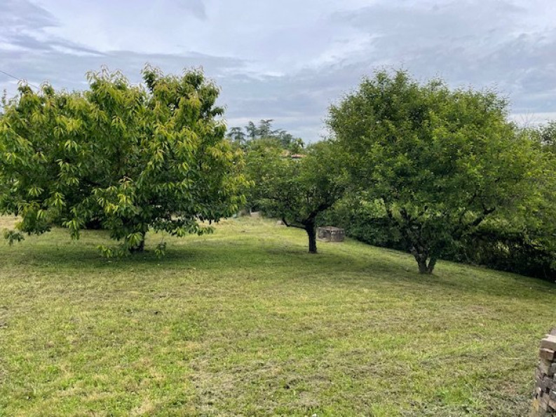 vente Maison Albigny Sur Saone - Photo 3