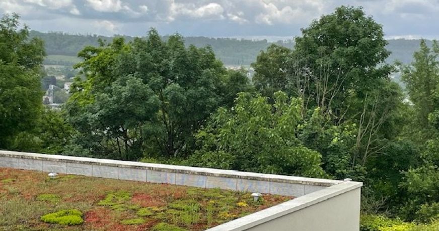 vente Appartement Albigny Sur Saone