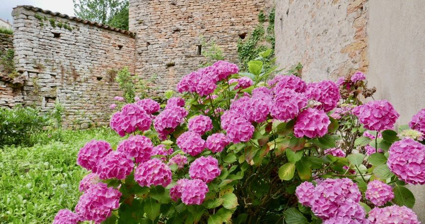 vente Maison Etrigny