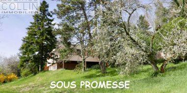 vente Caluire Et Cuire