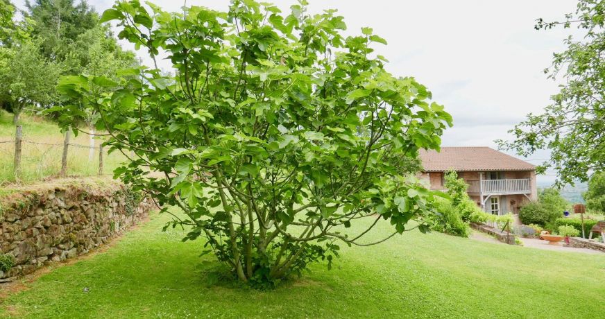 vente Maison et dépendances Tramayes