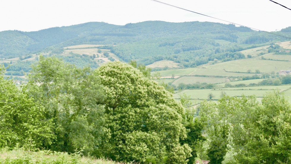 vente Maison et dépendances Tramayes - Photo 4