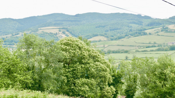 à vendre Maison et dépendances Tramayes