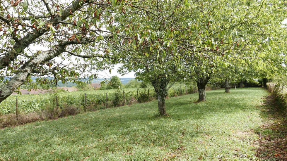 vente Maison de village Chapaize - Photo 6