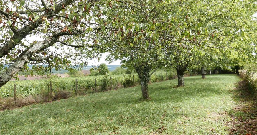 vente Maison de village Chapaize