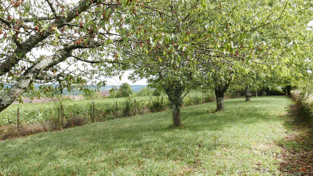 à vendre Maison de village Chapaize - Photo 6