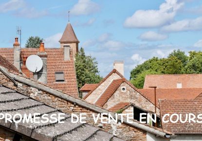 vente Maison de village Chapaize