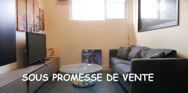 vente Lyon 6eme Arrondissement