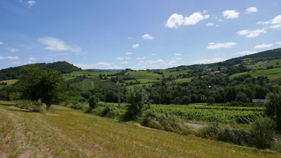 vente Terrain Berze La Ville - Photo 4