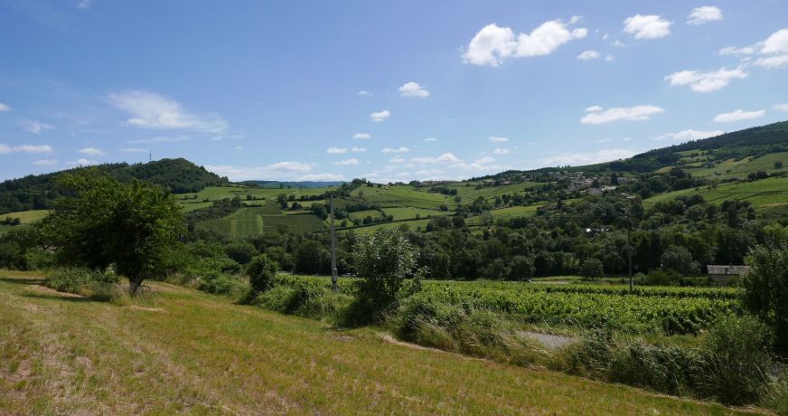 vente Terrain Berze La Ville