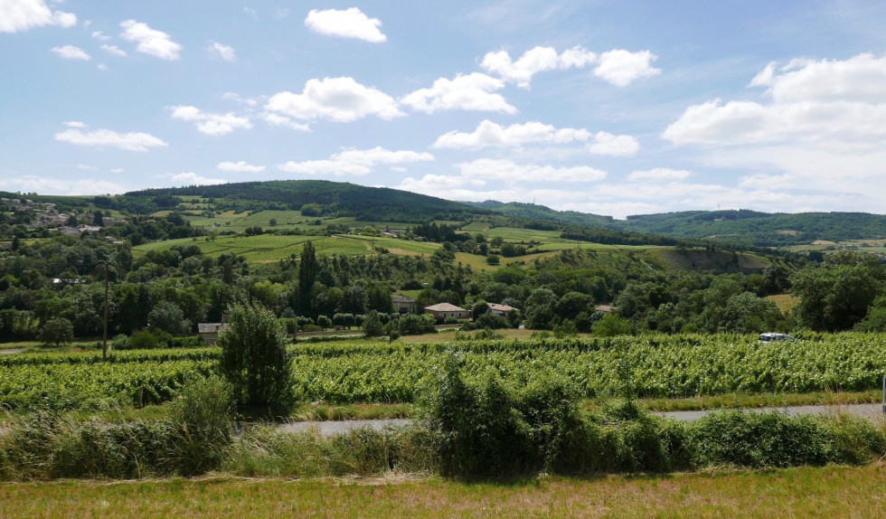 vente Terrain Berze La Ville - Photo 5