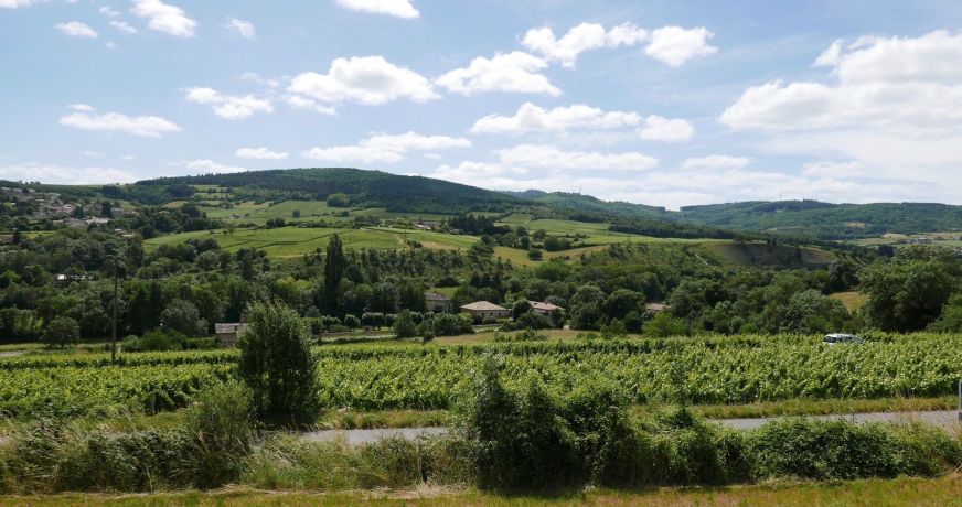 vente Terrain Berze La Ville