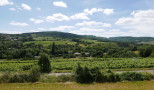 vente Terrain Berze La Ville