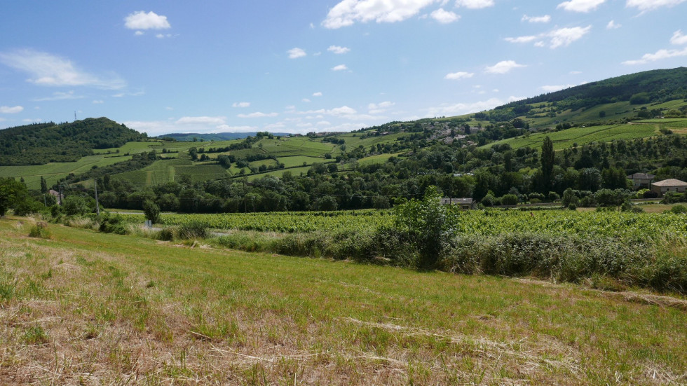 vente Terrain Berze La Ville - Photo 6