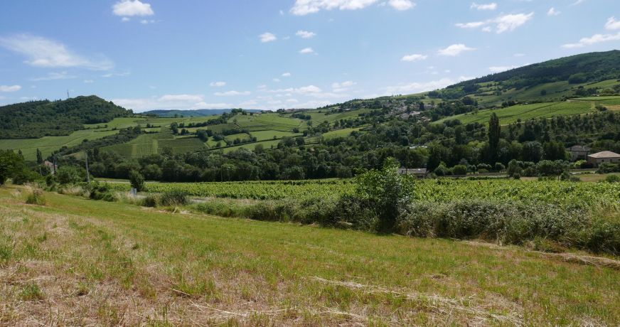 vente Terrain Berze La Ville