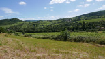 vente Terrain Berze La Ville