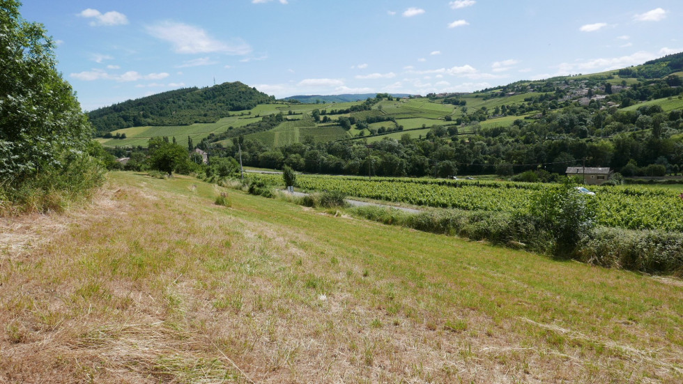 vente Terrain Berze La Ville - Photo 7