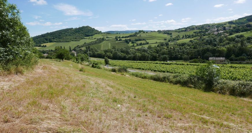 vente Terrain Berze La Ville