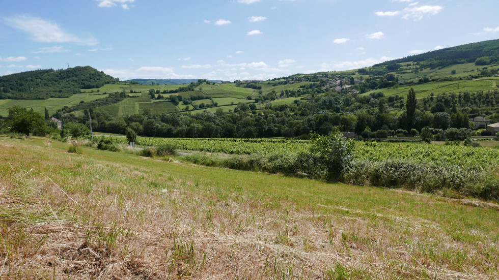 vente Terrain Berze La Ville - Photo 8