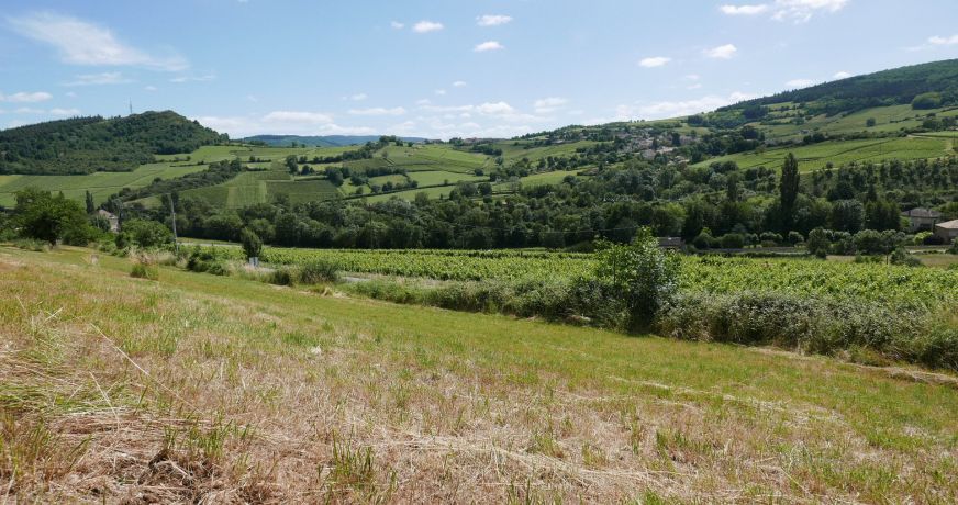 vente Terrain Berze La Ville